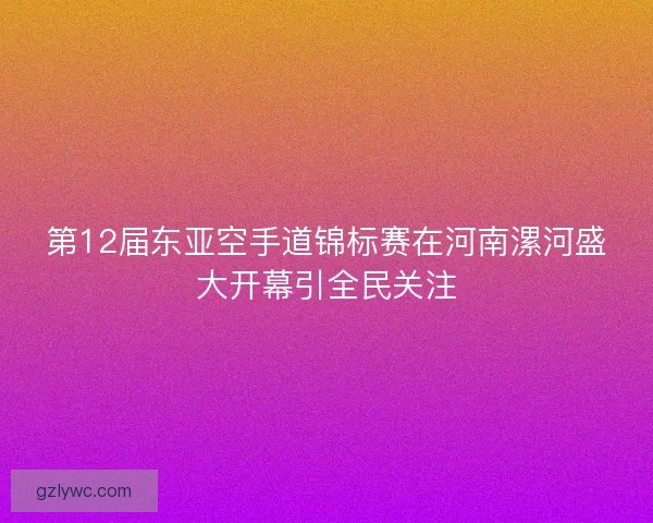第12届东亚空手道锦标赛在河南漯河盛大开幕引全民关注 第12届东亚空手道锦标赛在河南漯河盛大开幕引全民关注